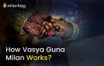 How Vasya Guna Milan Works