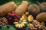 tropical-fruits-variety-malaysia-durian-banana-star-fruit-rambutan-EP7YF3