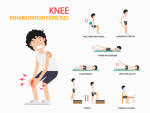 Knee Rehab Exercises