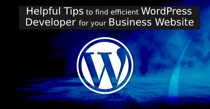 WordPress Developer for Business Website