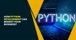 How Python Development Can Benefit Your Business n