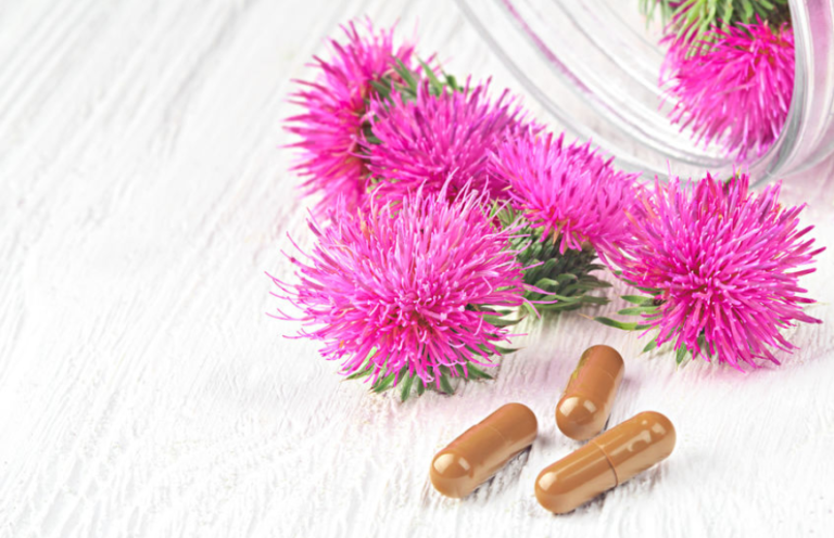 The Milk Thistle Benefits: How To Improve Liver Health Naturally